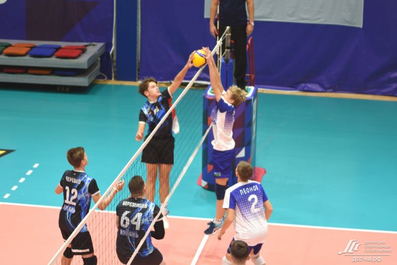 DSC_9631_result4-54100-800-600-80-wm-right_bottom-100-dsswatermarkpng